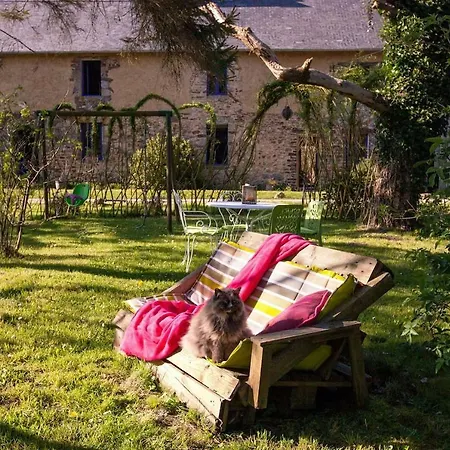 Le Chat-huant *